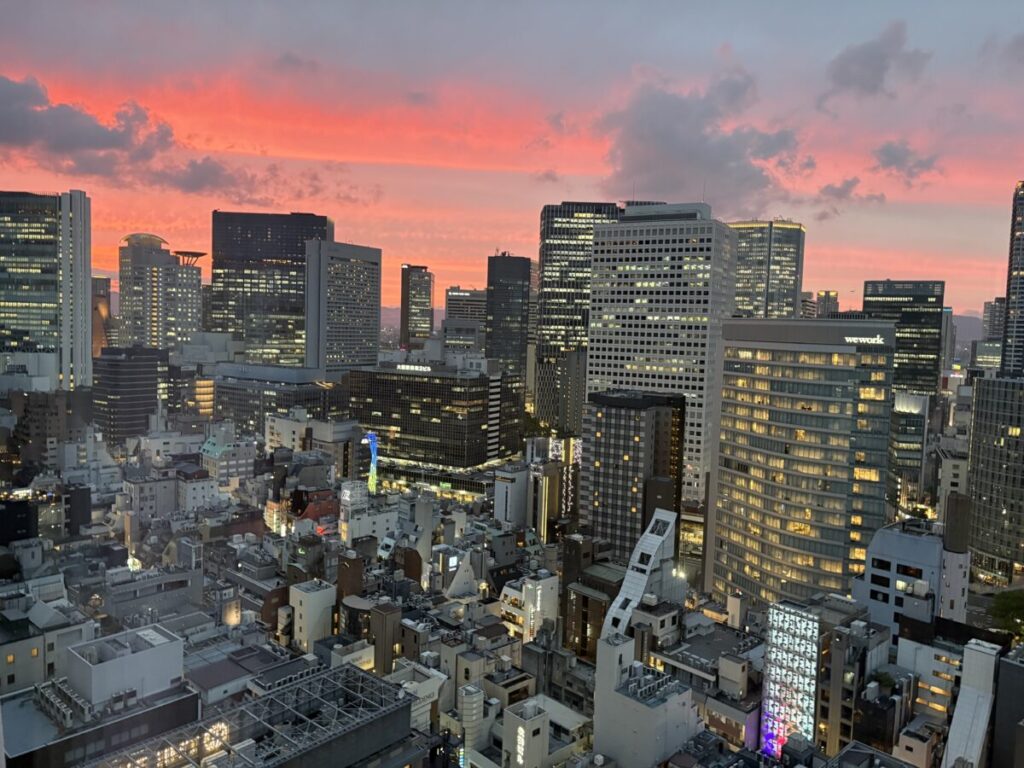 カンデオホテルズ大阪ザ・タワー 画像:客室からの眺め 夕方