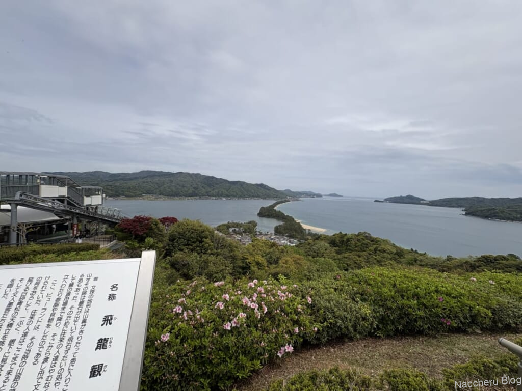 天橋立ビューランドの飛龍観の看板とツツジ
