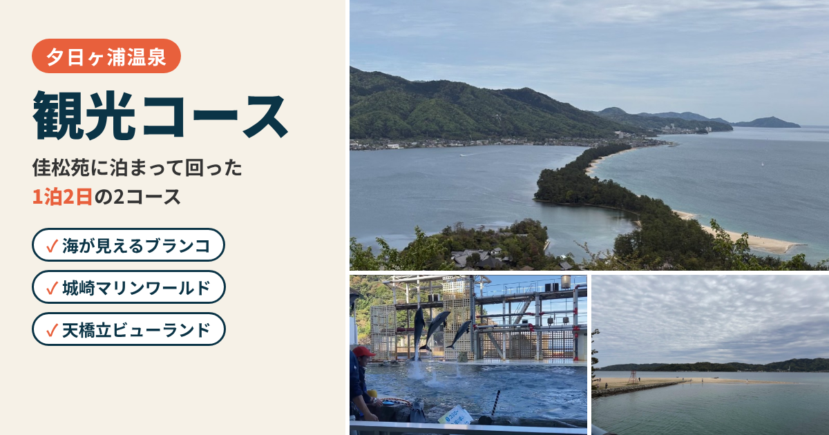 【夕日ヶ浦温泉 観光コース】海が見えるブランコ・城崎マリンワールド・天橋立レビュー